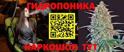 гидропоника Шелехов
