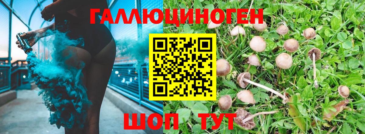 Псилоцибиновые грибы Cubensis  Вход с VPN  Богданович 