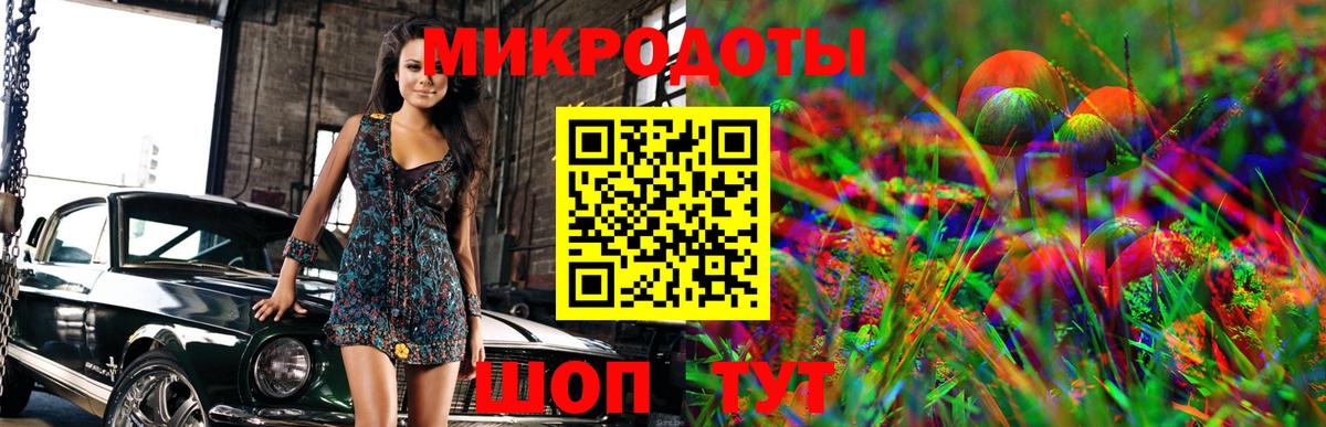 Псилоцибиновые грибы MAGIC MUSHROOMS Богданович