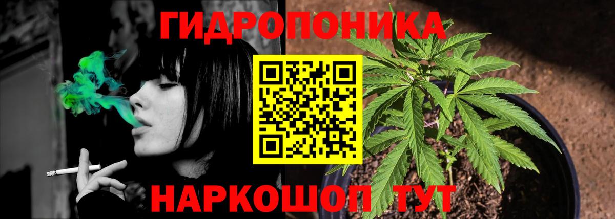 Канабис план  Вход с VPN  Бошки Шишки тримм  Богданович 